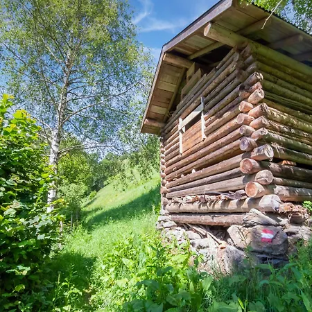 Дом отдыха Bramberg Near Wildkogel Lift, Cleaning Included